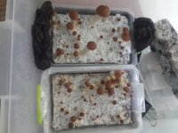 20170926_203644.jpg