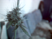vlcsnap-00008.png vlcsnap-00008.png