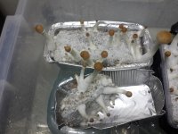 20170929_212736.jpg