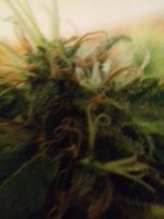 20170930_194510.jpg