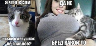 186431716.p.800.800.0.jpg