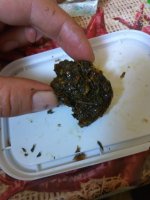 IMG_20170930_132456[1].jpg