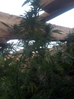 IMG_20170929_181814.jpg