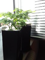 20171001_132849.jpg