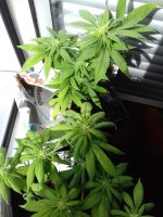 20171001_132858.jpg
