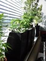 20171001_143802.jpg
