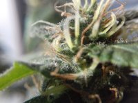 20171001_150316.jpg