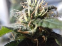 20171001_150314.jpg