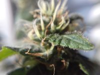 20171001_150312.jpg