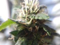 20171001_150306.jpg