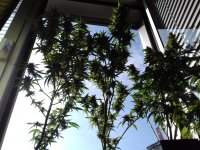 20171001_145904.jpg