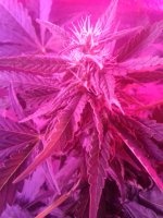 20171001_180319.jpg