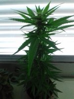20171004_072346.jpg