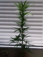 20171004_072338.jpg