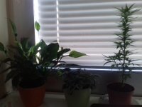 20171004_082636.jpg