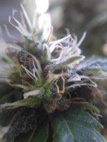 20171005_101047.jpg