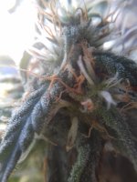 20171005_101538.jpg