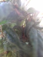 20171005_101636.jpg