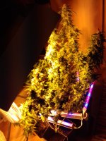 20171005_102942.jpg