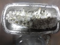 20171006_214420.jpg