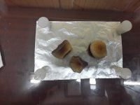 20171007_124817.jpg