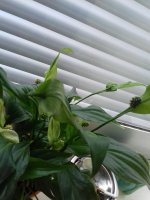 20171009_132312.jpg