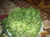 101_1976.JPG