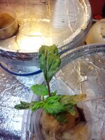 IMG_20171011_184130[1].jpg