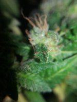 20171012_004026.jpg