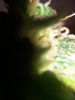 20171012_004045.jpg