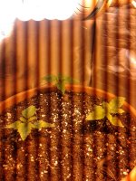 20171002_225359.jpg
