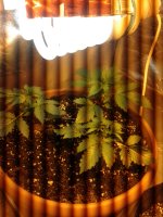 20171008_002211.jpg