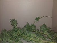 20171016_234414.jpg