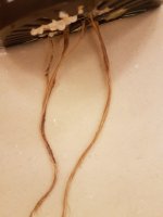 20171018_093001.jpg 20171018_093001.jpg