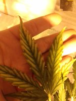 20171018_111034.jpg 20171018_111034.jpg