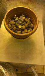 IMAG0319.jpg