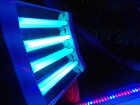 20171018_114151.jpg