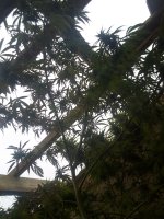 IMG_20171015_153823.jpg