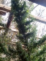 IMG_20171015_154759.jpg