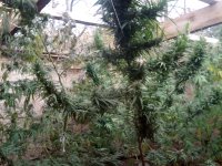 IMG_20171015_154910.jpg