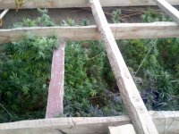 IMG_20171015_161528.jpg