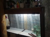 IMG_20170602_202914.jpg