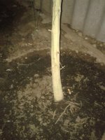 Фото-1038.jpg