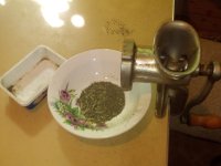 IMG_20170616_103809.jpg