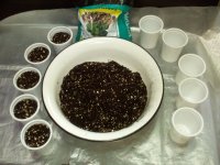 IMG_20170531_144257.jpg