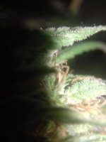 20171020_085751.jpg