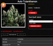 Auto Tutankhamon.png