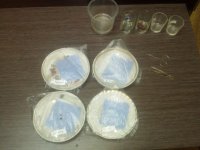 IMG_20170610_132332.jpg