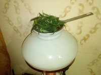 IMG_20170617_141911.jpg