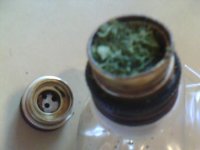 IMG0211A.jpg